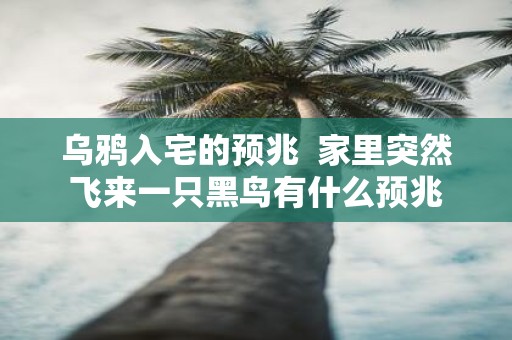 乌鸦入宅的预兆 家里突然飞来一只黑鸟有什么预兆