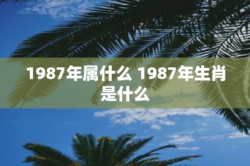 1987年属什么 1987年生肖是什么