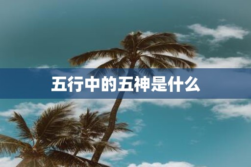 五行中的五神是什么