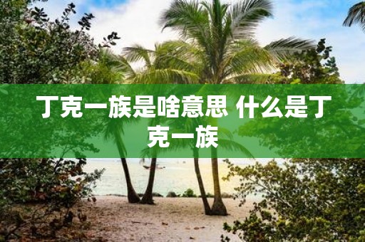 丁克一族是啥意思 什么是丁克一族