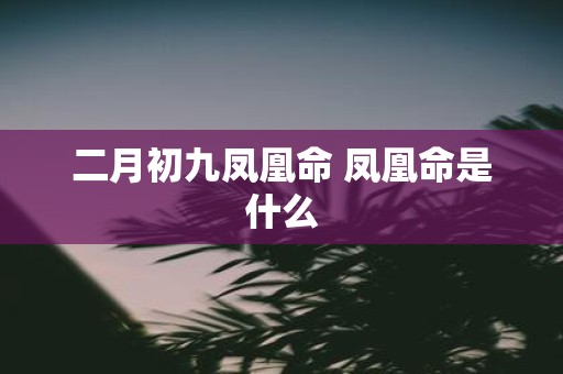 二月初九凤凰命 凤凰命是什么