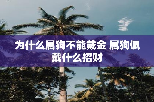 为什么属狗不能戴金 属狗佩戴什么招财
