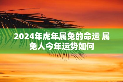2025年虎年属兔的命运 属兔人今年运势如何