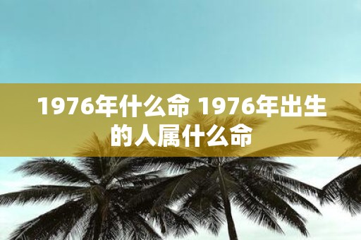 1976年什么命 1976年出生的人属什么命