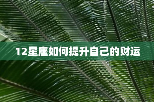 12星座如何提升自己的财运