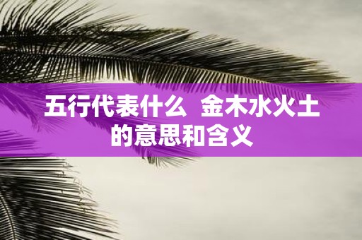 五行代表什么 金木水火土的意思和含义