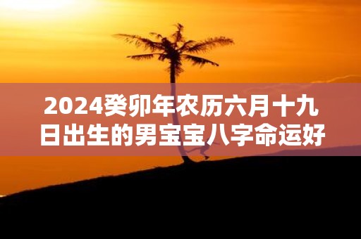 2025癸卯年农历六月十九日出生的男宝宝八字命运好不好 运势详解