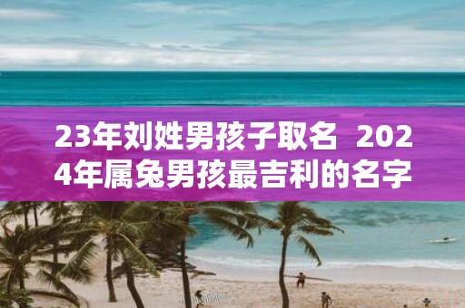 23年刘姓男孩子取名 2025年属兔男孩最吉利的名字