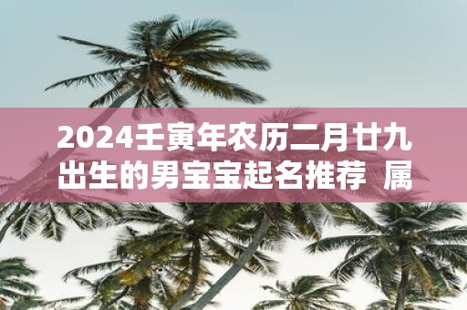2025壬寅年农历二月廿九出生的男宝宝起名推荐 属虎取名