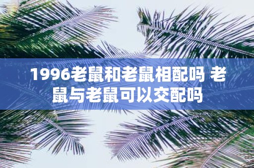 1996老鼠和老鼠相配吗 老鼠与老鼠可以交配吗