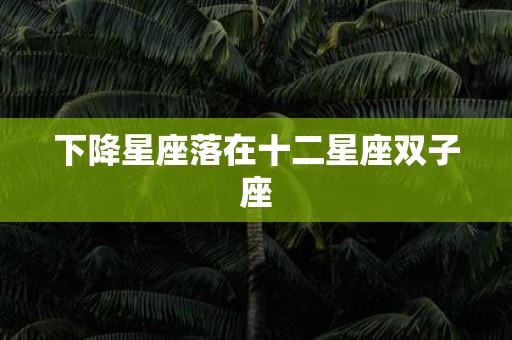 下降星座落在十二星座双子座