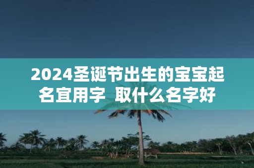 2025圣诞节出生的宝宝起名宜用字 取什么名字好