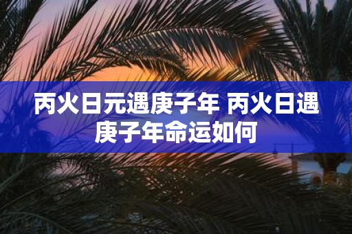 丙火日元遇庚子年 丙火日遇庚子年命运如何