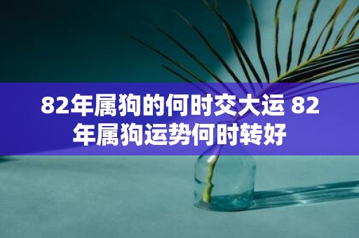 82年属狗的何时交大运 82年属狗运势何时转好