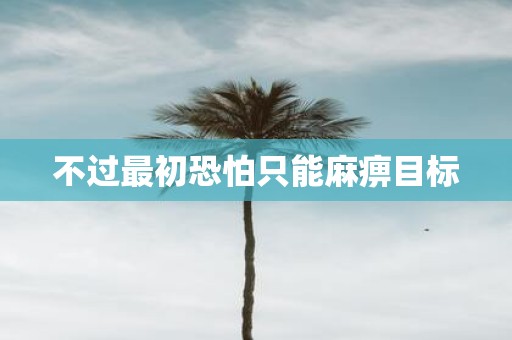 不过最初恐怕只能麻痹目标