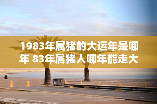 1983年属猪的大运年是哪年 83年属猪人哪年能走大运