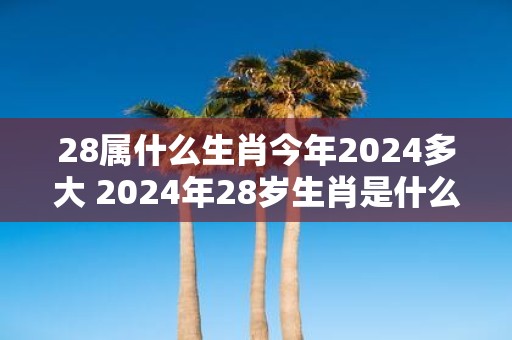 28属什么生肖今年2025多大 2025年28岁生肖是什么
