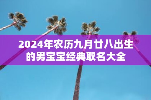 2025年农历九月廿八出生的男宝宝经典取名大全