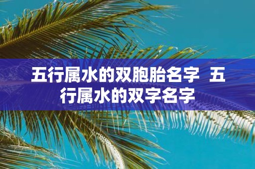 五行属水的双胞胎名字 五行属水的双字名字