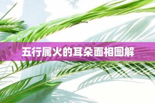 五行属火的耳朵面相图解