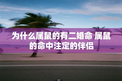 为什么属鼠的有二婚命 属鼠的命中注定的伴侣