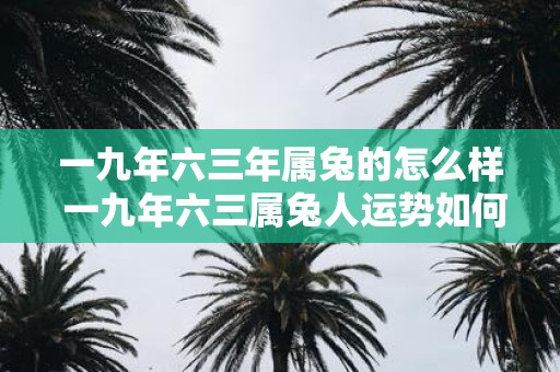 一九年六三年属兔的怎么样 一九年六三属兔人运势如何