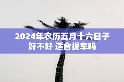 2025年农历五月十六日子好不好 适合提车吗