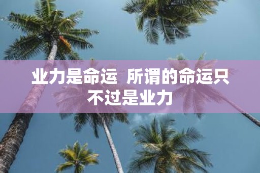 业力是命运 所谓的命运只不过是业力