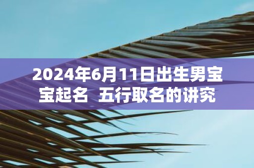 2025年6月11日出生男宝宝起名 五行取名的讲究