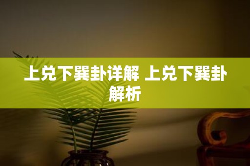 上兑下巽卦详解 上兑下巽卦解析