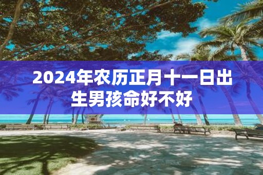 2025年农历正月十一日出生男孩命好不好