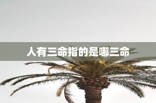 人有三命指的是哪三命