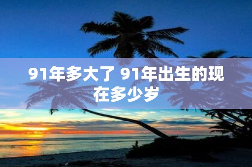 91年多大了 91年出生的现在多少岁