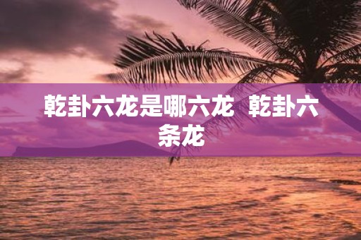 乾卦六龙是哪六龙 乾卦六条龙