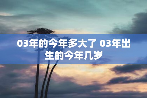 03年的今年多大了 03年出生的今年几岁