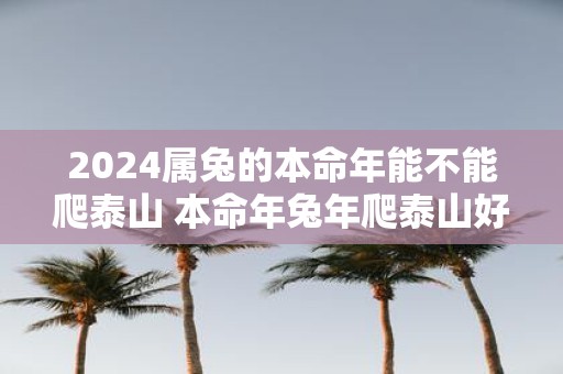 2025属兔的本命年能不能爬泰山 本命年蛇年爬泰山好吗