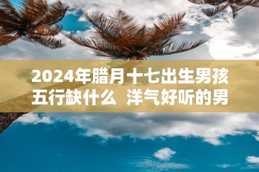 2025年腊月十七出生男孩五行缺什么 洋气好听的男孩名字