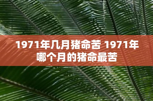 1971年几月猪命苦 1971年哪个月的猪命最苦
