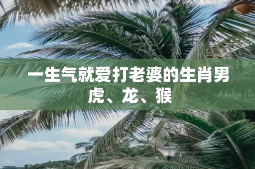 一生气就爱打老婆的生肖男 虎、龙、猴