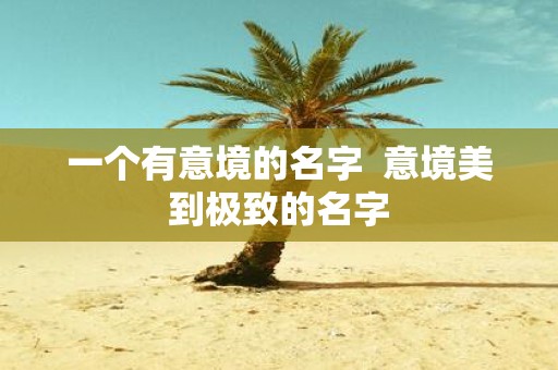 一个有意境的名字 意境美到极致的名字
