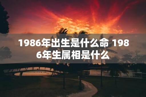 1986年出生是什么命 1986年生属相是什么