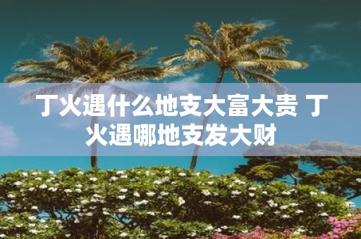 丁火遇什么地支大富大贵 丁火遇哪地支发大财