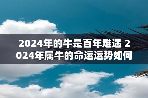 2025年的牛是百年难遇 2025年属牛的命运运势如何