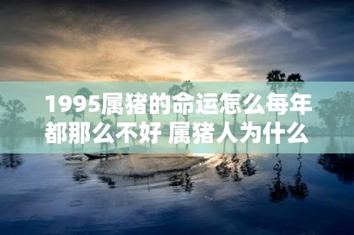 1995属猪的命运怎么每年都那么不好 属猪人为什么那么倒霉