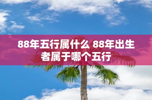 88年五行属什么 88年出生者属于哪个五行