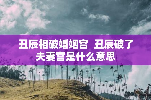 丑辰相破婚姻宫 丑辰破了夫妻宫是什么意思
