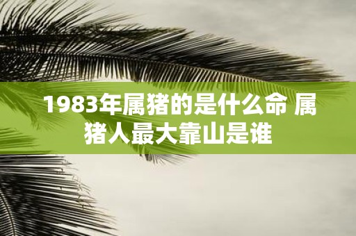 1983年属猪的是什么命 属猪人最大靠山是谁