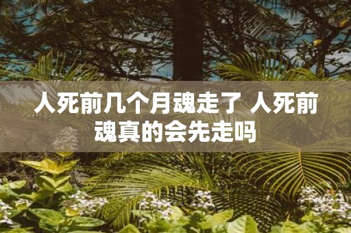 人死前几个月魂走了 人死前魂真的会先走吗