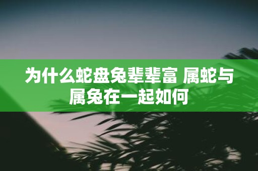 为什么蛇盘兔辈辈富 属蛇与属兔在一起如何