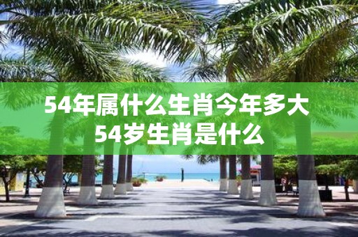 54年属什么生肖今年多大 54岁生肖是什么
